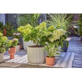GARDENA Micro-Drip-System lašelinio drėkinimo rinkinys terasai, 30 augalų, lašinamasis