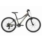 XTC Jr 24 Metal XS