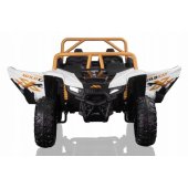 Arctic Cat Buggy White