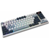 Forge GK600 Sky Blue/ White (EN)