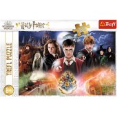 Harry Potter dėlionė 300 vnt. Mysterious Harry Potter 23001