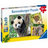 Panda, liūtas ir tigras 3x49 vnt.