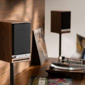 HD4 BT Walnut