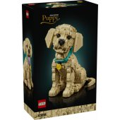 11384 Golden Retriever Puppy