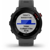 Forerunner 55 GPS Monterra grey 010-02562-13