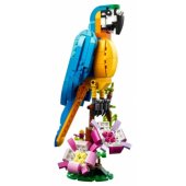 Exotic Parrot 31136