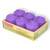 Candles Violet Ø3.8x5.5cm 6pcs