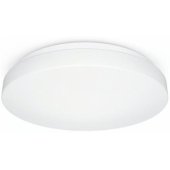 RS Pro P2 flat S Neutral white