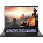 RG4070-17PL20 17.3 144hz i7-13620H 16GB 1SSD RTX4070 EN DOS Black