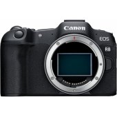 EOS-R8 + RF24-105 F4-7.1 IS STM EU26