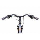 Wagant 10 2025 graphite-dark gold-19" / M