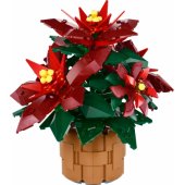 Poinsettia 10370