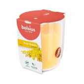 Svece arom. stikla gl. True Scents Ø80x73mm mimosa