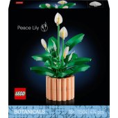 11504 Peace Lily