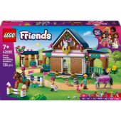 42688 Horse Stable and Riding Academy
