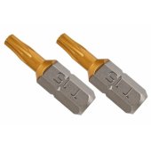Antgalis T15 x 25mm, 2 vnt.