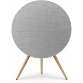 Beosound A9 5.G Natural Aluminium B - FLEX