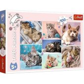 Trefl Puzzle 100 elements In a cat®s world