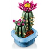 11509 Flowering Cactus