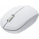 MW-04 White