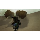 Monster Hunter Wilds, skirtas PS5