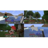 Minecraft, skirtas NSW