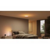 Datura Ceiling Light Small D38.4cm