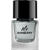_6926508 Burberry Mr. Burberry tualetinis vanduo vyrams 50 ml