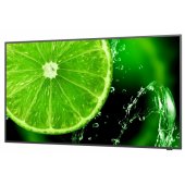 MultiSync E328-2 31.5" IPS 16:9
