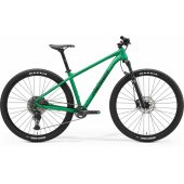 Big.Nine 400 IV1 silk dandelion green/ black XXL