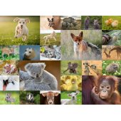 Ravensburger dėlionė 200 pc Mažyliai gyvūnai
