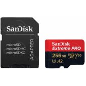 SDSQXCD-256G