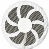 9157695 White