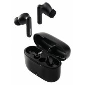 RZ-B110WDE-K Black