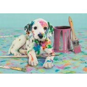 Dalmation