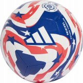 _7564565 adidas FCWC treniruočių kamuolys JD3826