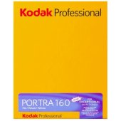 Professional Portra 160 4x5 10 lapų