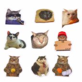 Set of Cats Stickers Memes Decorative Various Motifs 50 pcs. 7-8 cm