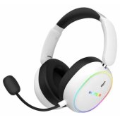 Phoenix 2 (ESH41) White