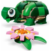 31377 Turtle With a Water Lily Flower