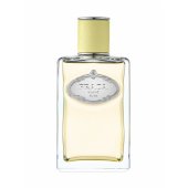 Infusion de Gingembre EDP U 100 ml