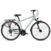 28" Wagant 5 (2023) 23" / XL Green
