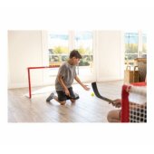 Pro Mini Hockey