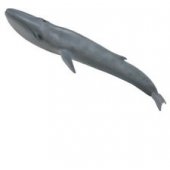 Collecta mėlynojo banginio figūrėlė