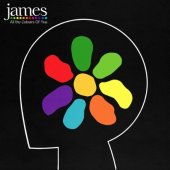 JAMES „All The Colours Of You“ (spalvotas vinilas, ribotas leidimas)