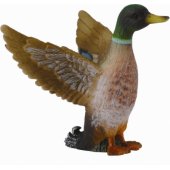 Collecta didžiosios anties patino figūrėlė (004-88378)