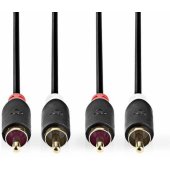 CABW24200AT20 2xRCA į 2xRCA 2m