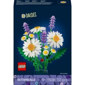 11508 Daisies