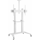 Techly Techly Stojak do Tablicy Interaktywnej 70-120" 140kg Biały