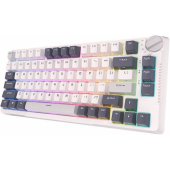 RKH81 Sky Cyan switch (EN)